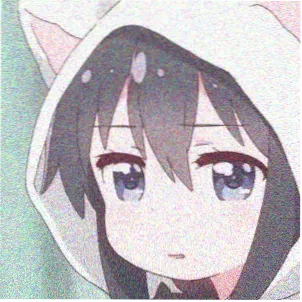 导演林克访谈